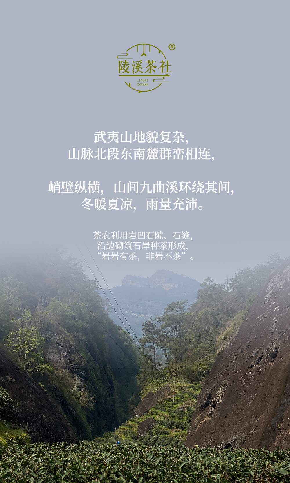 未标题-1_01.jpg